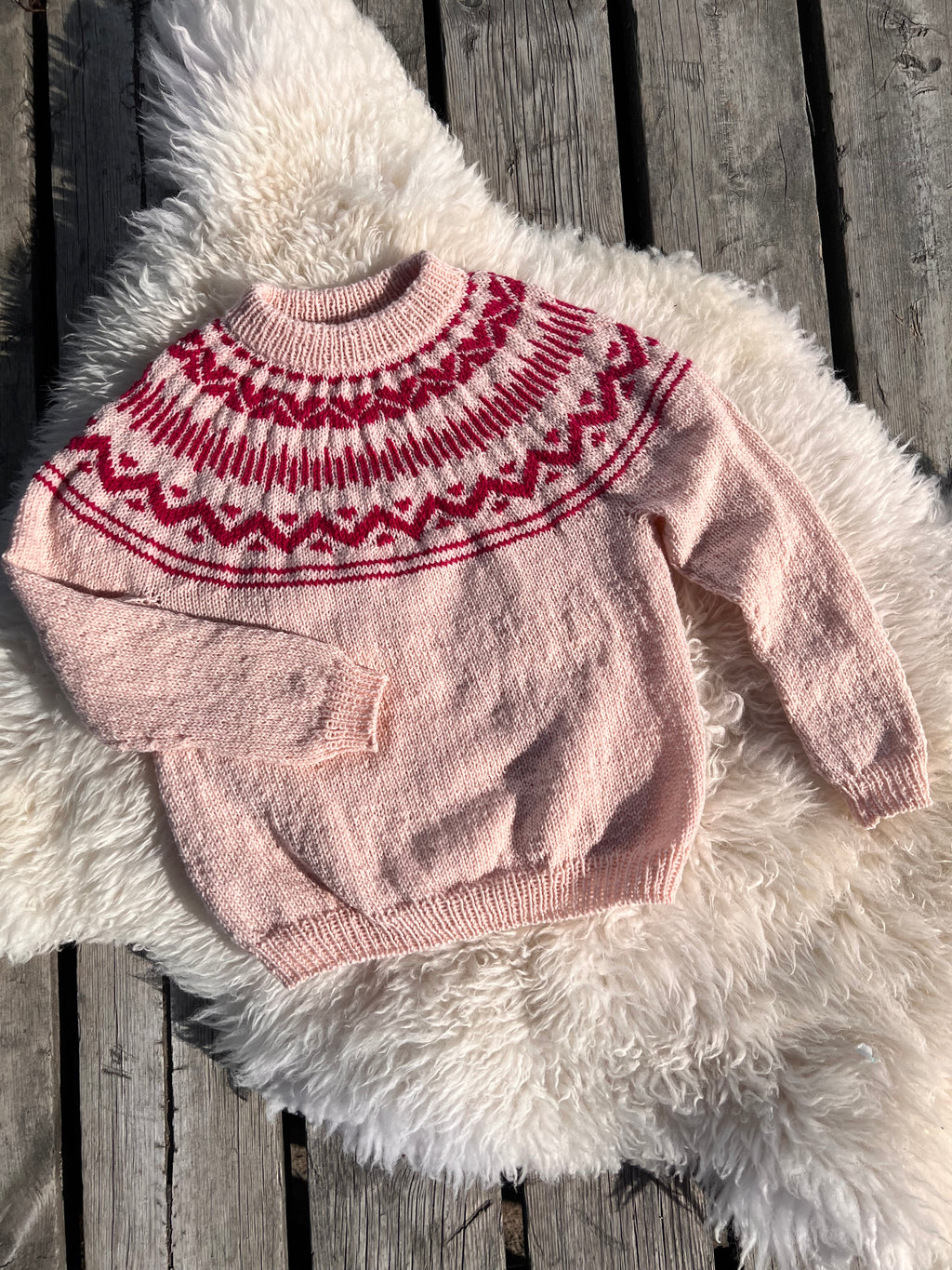Minik Sweater Junior