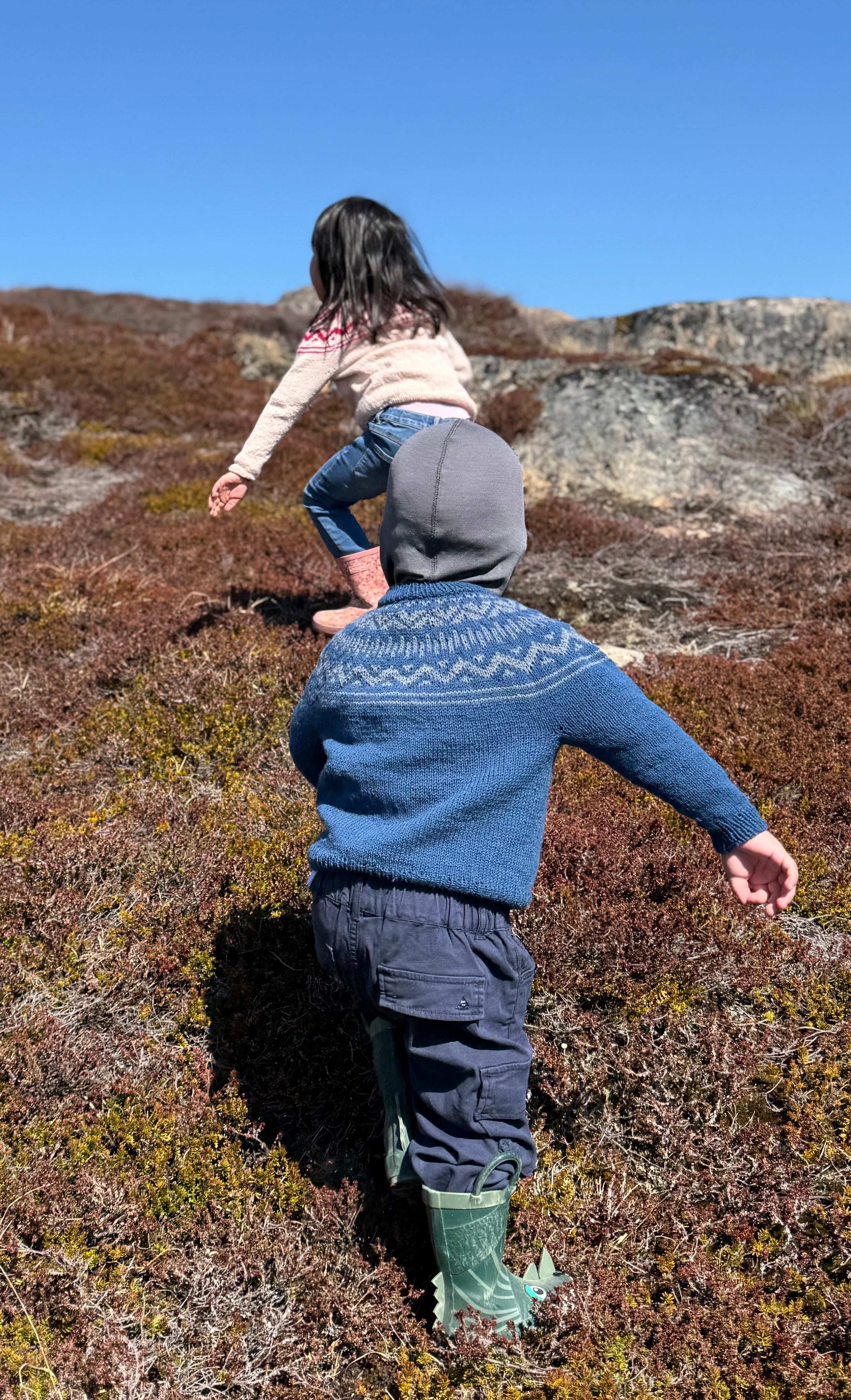 Minik Sweater Junior