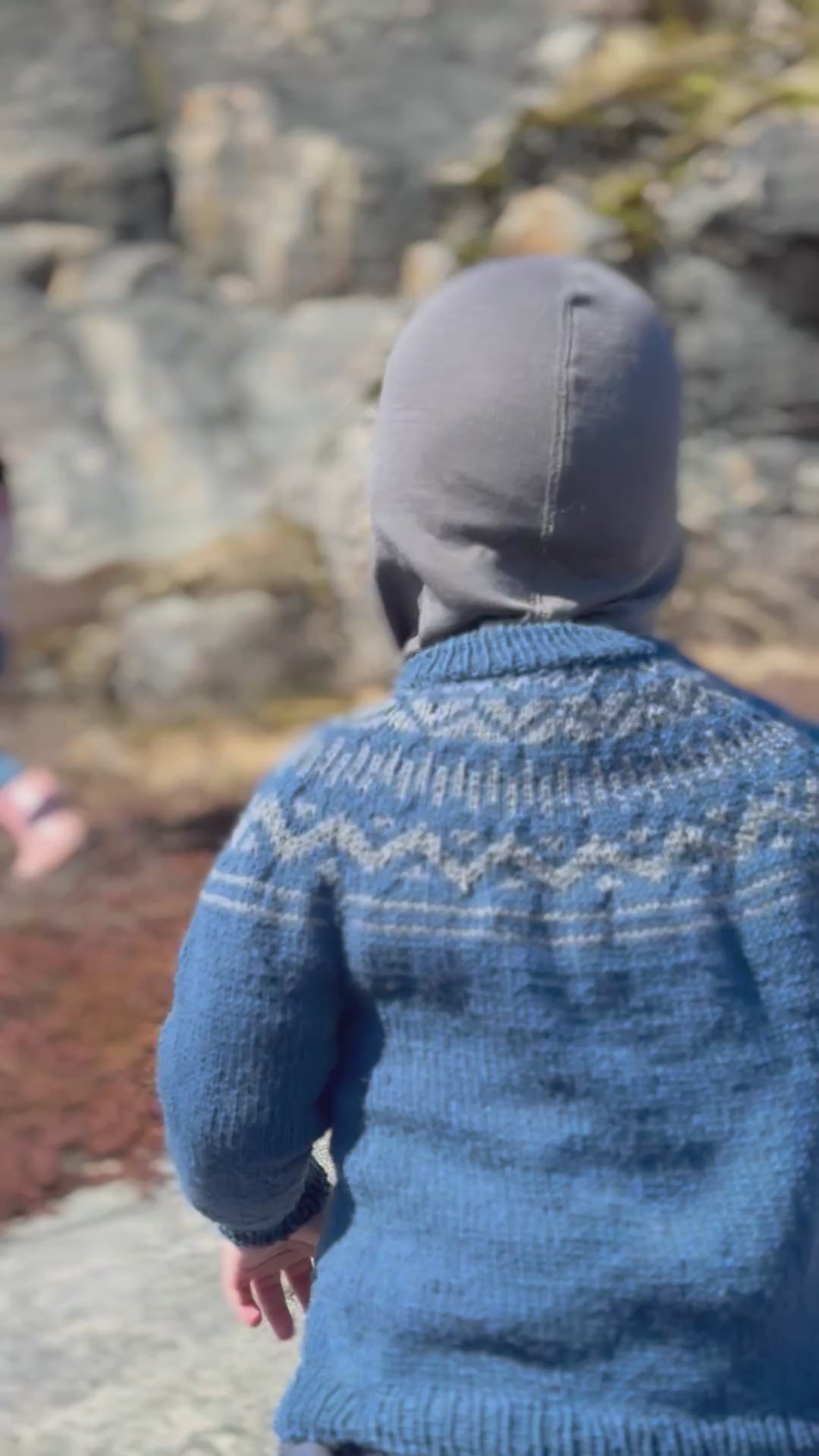 Minik Sweater Junior